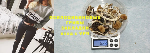 метамфетамин Богданович