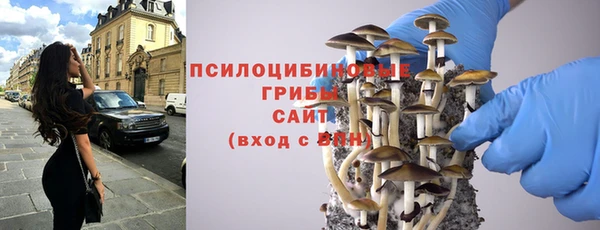 первитин Богородицк
