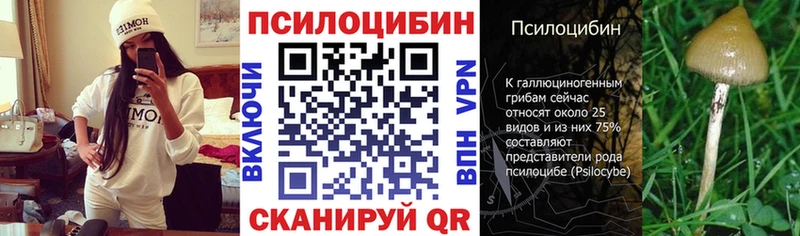 Псилоцибиновые грибы Cubensis  Десногорск 